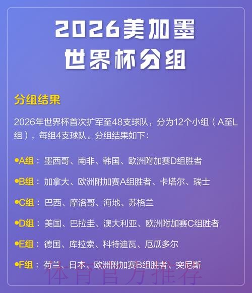 2026世界杯外围安全热门